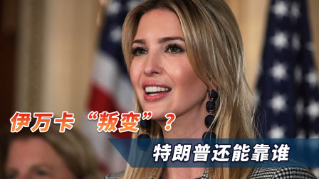 先被儿子坑，这回连伊万卡也“叛变”了，特朗普还能靠谁？