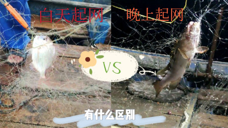 南澳岛赶海日记 网友想知道在外海白天收渔网跟晚上收有什么区别，那就分开收比较下