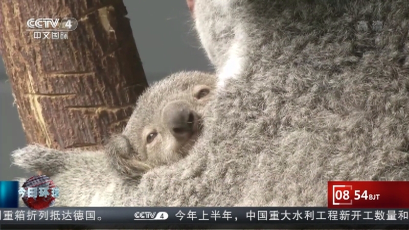 今日环球 《今日环球》 20220712