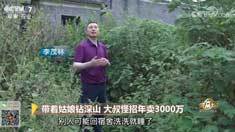 致富经 [致富经]带着姑娘钻深山 大叔怪招年卖3000万 20180917