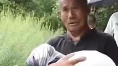 @所有人 防台风转移时，老人紧紧抱住怀中的狗