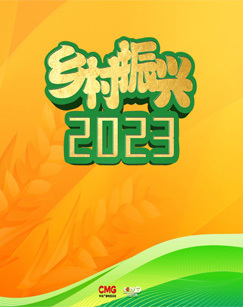乡村振兴2023