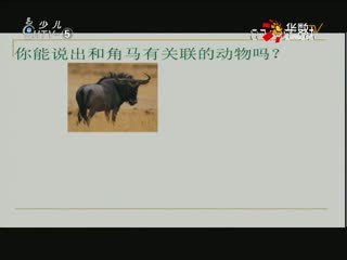名师公开课 《第2节种群》 授课教师：劳忠娣