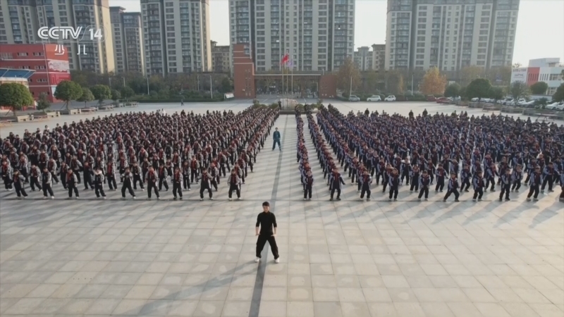 《智慧树》 20260227