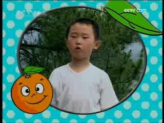 智慧树 智慧树 2008年 第275期
