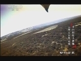 动物世界 《动物世界》 20130905 谁是最极端猎手