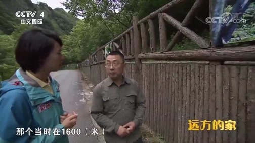 远方的家 《远方的家》 国家公园（6） 唐家河 白云深处 熊猫家园 20180822