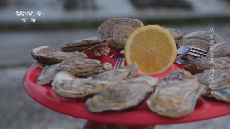 《从农场到餐桌 中法季》 第3集 海鲜