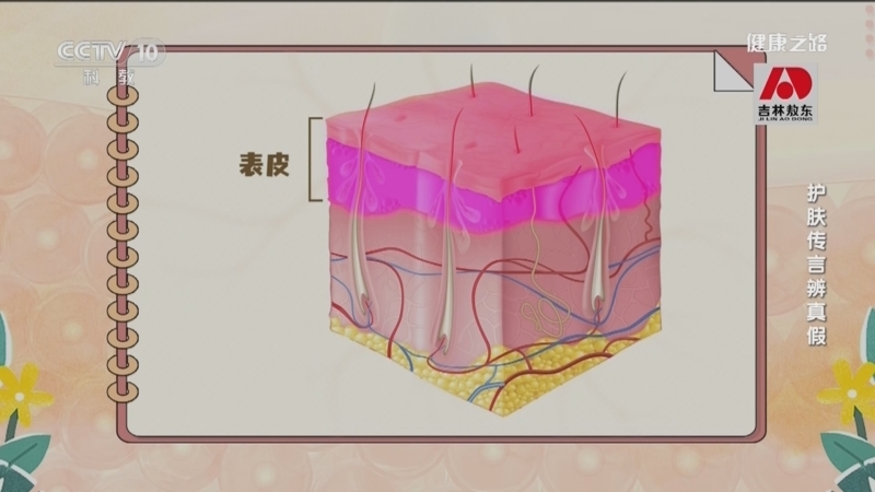 健康之路 《健康之路》 20230324 护肤传言辨真假