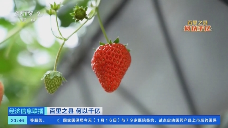 《经济信息联播》 20260116