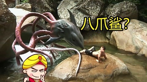 笑尿了！八爪鲨鱼它来了