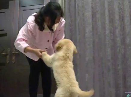 钢铁侠生病急坏吴妈妈