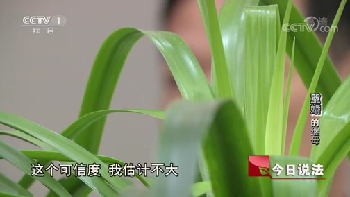 今日说法 《今日说法》 20191107 “重婚”的继母