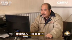 致富经 [致富经]像卖钻石一样卖萝卜 20160413