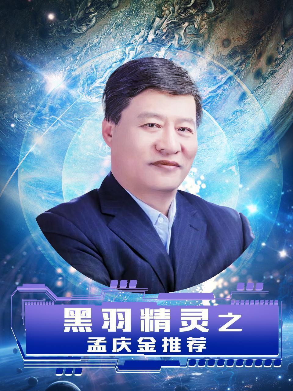 黑羽精灵之孟庆金推荐