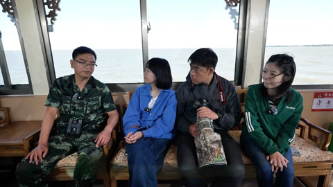 杨知寒三人兴凯湖湿地观鸟行 听鸟类专家科普与分享