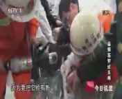 今日说法 《今日说法》 20140903 当钢筋穿过头颅