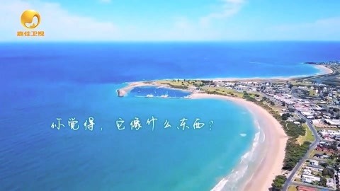 音乐涂鸦乐园 水果派对