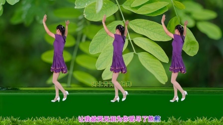 流行DJ广场舞及教学 第三季 心醉DJ广场舞《你为何说了不算》演示分解