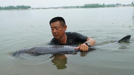 游钓中国 第四季 河南巨青巅峰之战
