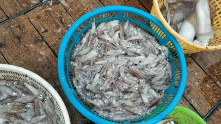 南澳岛赶海日记 价值超百万的渔船到深海捕鱼，网上来几百斤海鲜，场面是相当壮观
