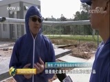 中国财经报道 《中国财经报道》 20171202 鸡蛋的秘密