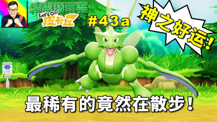 神一样的运气啊，飞天螳螂在散步！