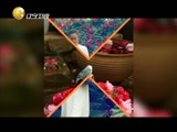 欢乐集结号 《欢乐集结号》 20150506