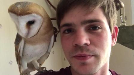 聊斋怪谈 男主人想要亲吻猫头鹰 猫头鹰扭头： 嘴臭 不亲！