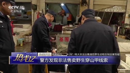 热线12 《热线12》 20181210