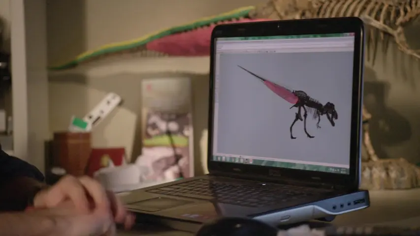 《暴龙极限生存记》第1集