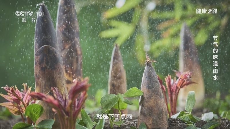 《健康之路》 20250219 节气的味道·雨水