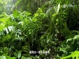 地理中国 《地理中国》 20161007 江山多娇·云贵探幽