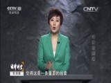 法律讲堂 《法律讲堂（生活版）》 20150915 转帖惹祸端