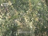 军事纪实 《军事纪实》 20161110 极限48小时（下）