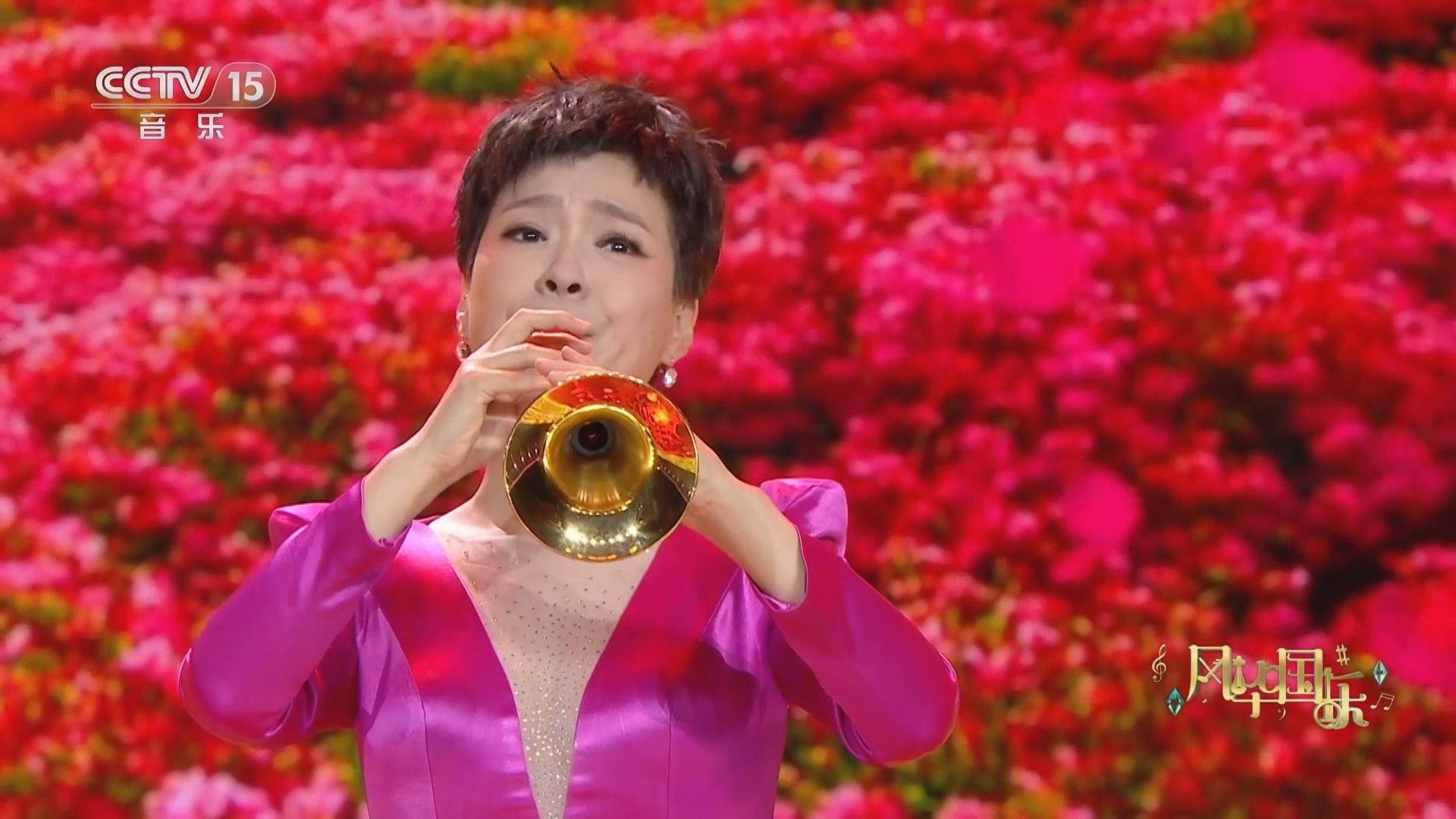 风华国乐 《风华国乐》 20231022