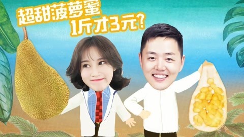 路见不平来碗Fun2019 超甜菠萝蜜1斤只卖3元？带你吃遍全国最便宜的水果市场！海南2