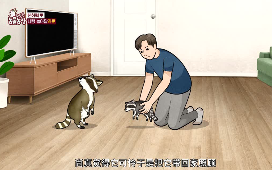 粘人精浣熊