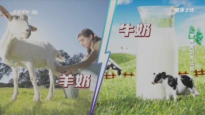 健康之路 《健康之路》 20231020 营养知识大比拼（六）