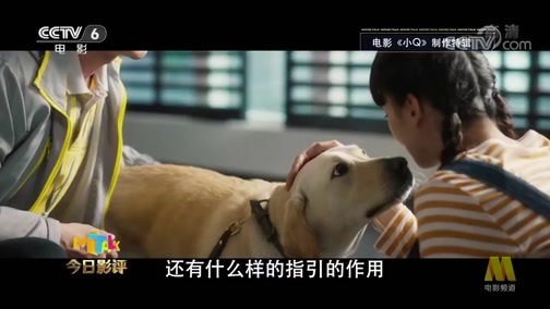 今日影评 《今日影评》 20190923 《小Q》