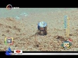 你是我的旅伴 《你是我的旅伴》 20160526 越南芽庄之旅