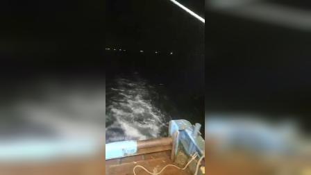 南澳岛赶海日记 出海了，后面全是鱼在跳