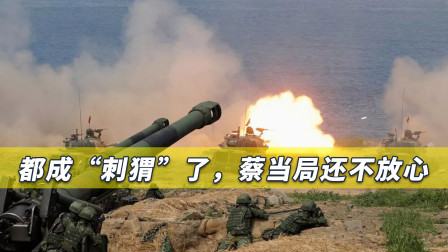 台媒：都成“刺猬”了，蔡当局还不放心，仗着美国“撑腰”惹恼大陆