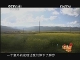 远方的家 北纬30°·中国行 第一百八十一集 边境小城——亚东 《远方的家》 20130314