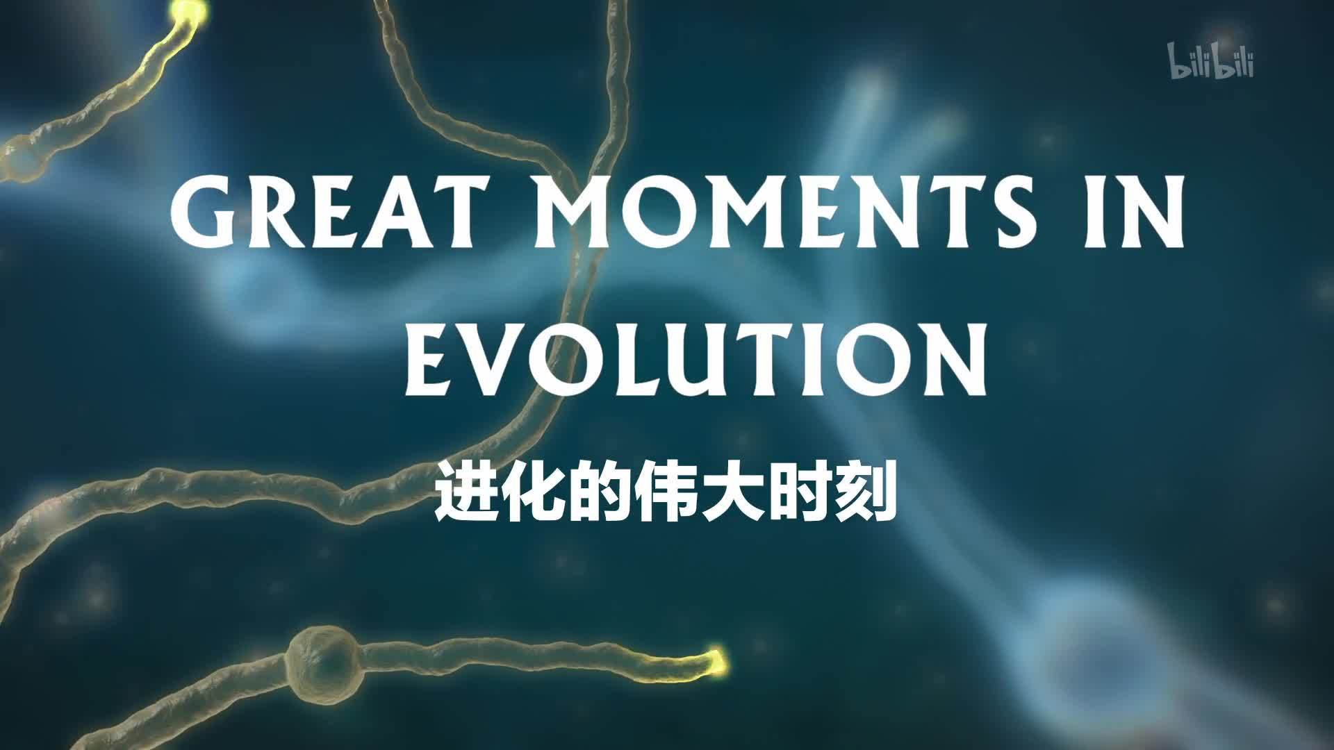 进化的伟大时刻 生存秘诀