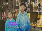 芝麻开门【央视】 《芝麻开门》 20151003 挑战大现场 洛阳唐三彩大挑战