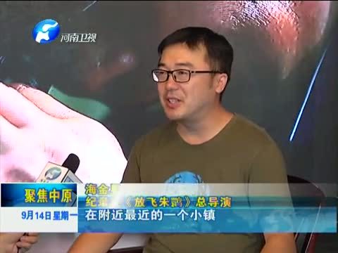 聚焦中原 《聚焦中原》 20150914 纪录片《放飞朱鹮》背后的故事