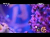 风华国乐 《风华国乐》 20161122 中国乐音 中国美