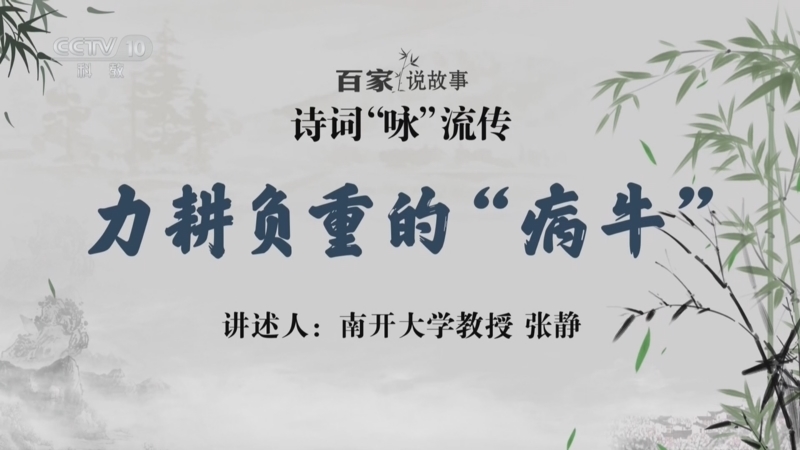 百家说故事 《百家说故事》 20260623