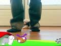 狗狗日记 第24天 脚脚游戏